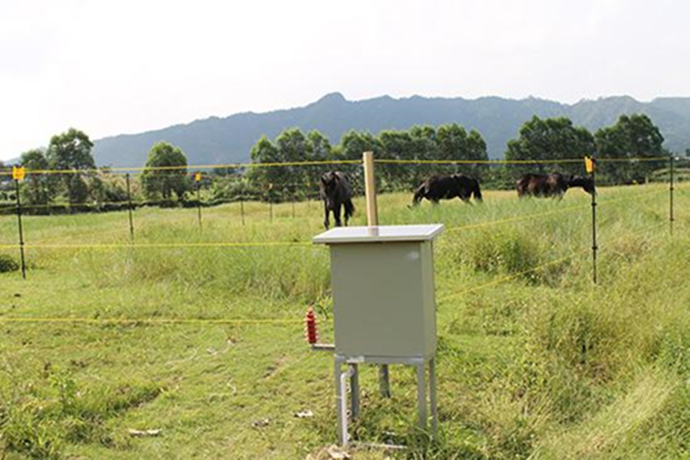 牧場(chǎng)電子圍欄案例